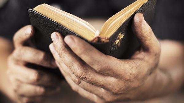Тайны Библии раскрыты: ученые расшифровали 5000 закодированных пророчеств