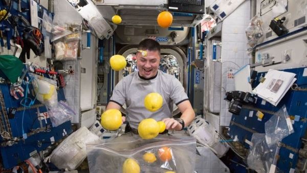 Красноярские ученые раскритиковали космическую диету NASA