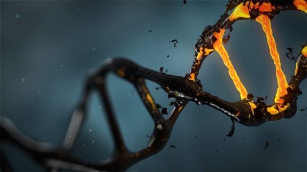 Время остановить эволюцию: генетик предлагает отредактировать ДНК человека